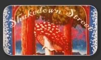 Shakedown Street